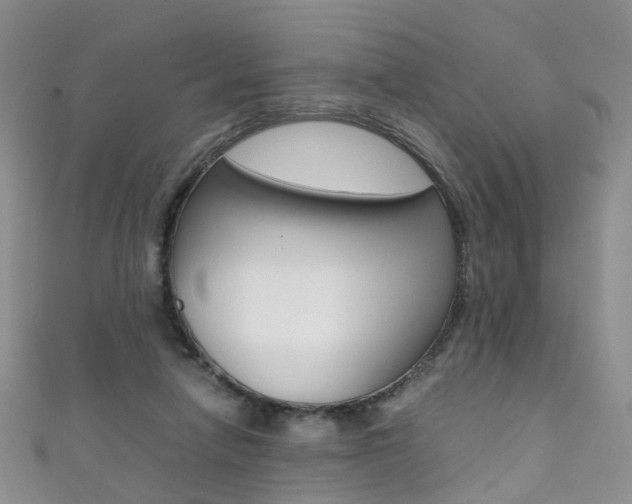 X0000111370258200907101023