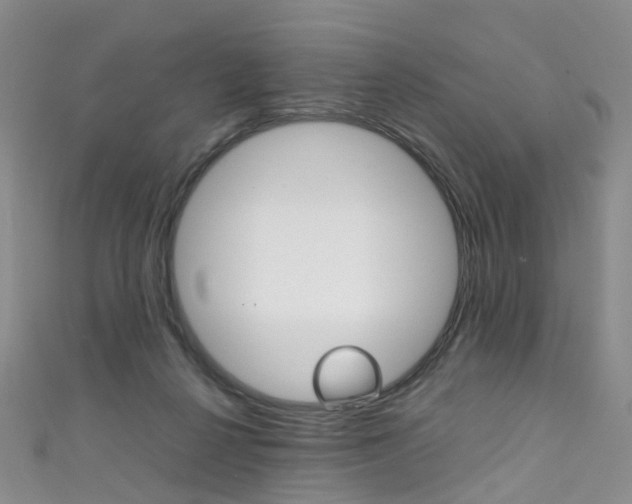 X0000111370264200907101023
