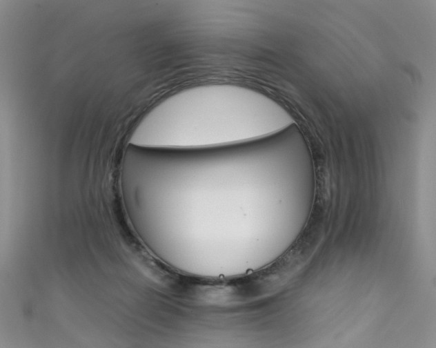 X0000111370266200907101023