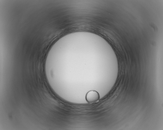 X0000111370268200907101023