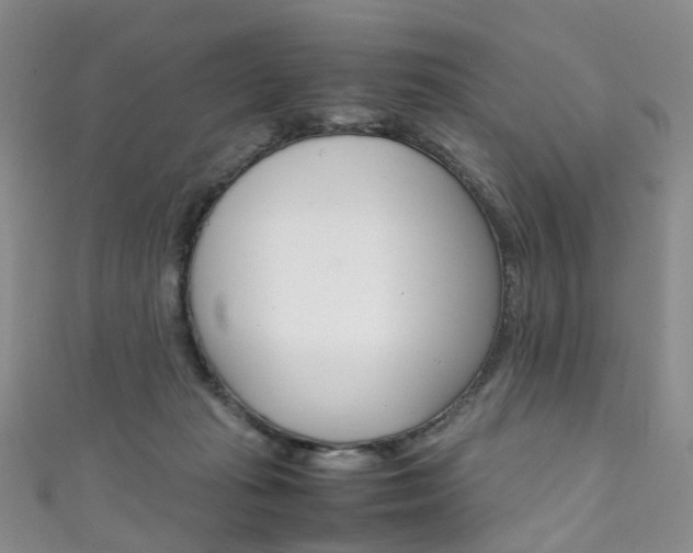 X0000111370269200907101023