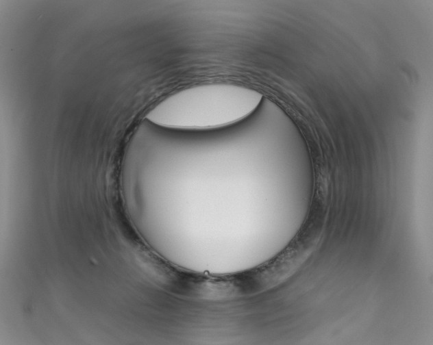 X0000111370270200907101023