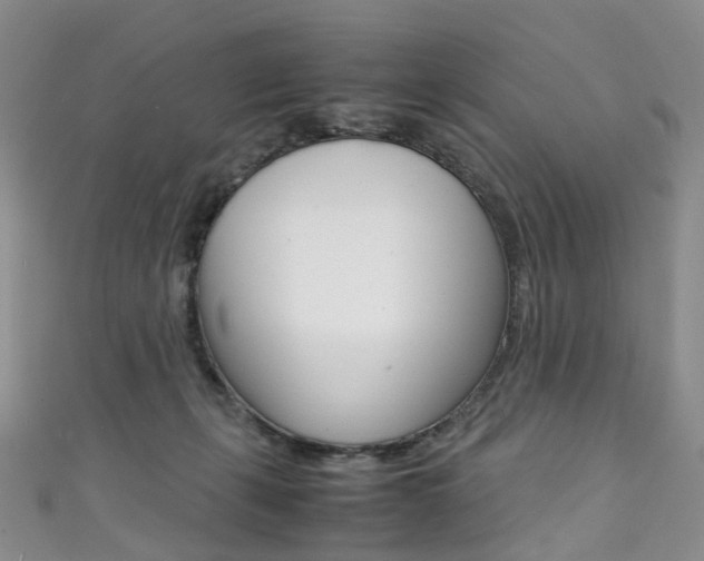X0000111370271200907101023