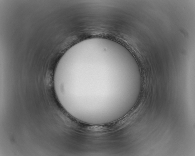 X0000111370273200907101023