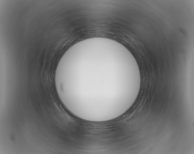 X0000111370280200907101023