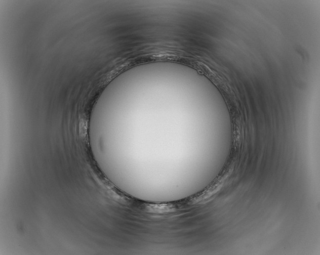 X0000111370281200907101023