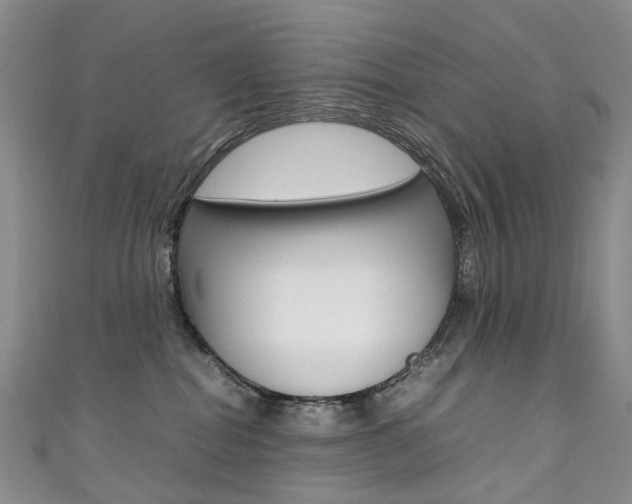 X0000111370282200907101023