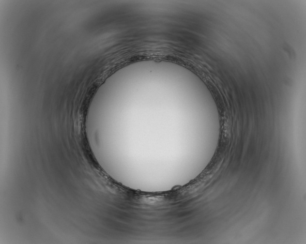 X0000111370283200907101023