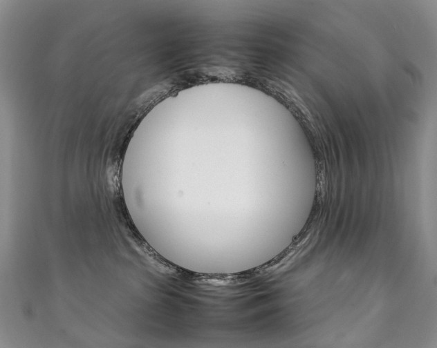 X0000111370285200907101023