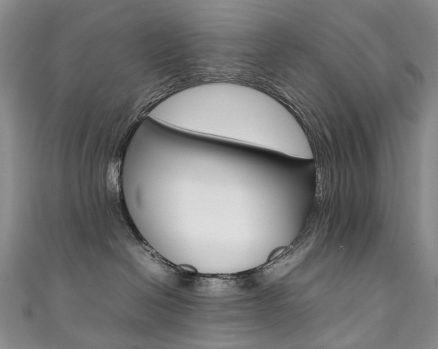 X0000111370286200907101023