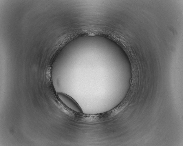 X0000111370288200907101023