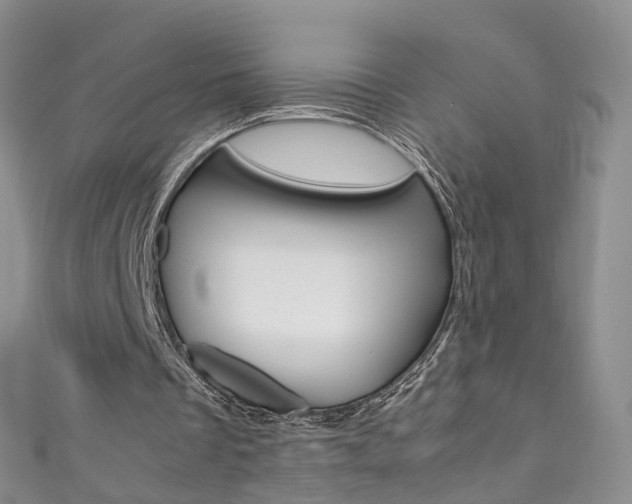 X0000111370289200907101022