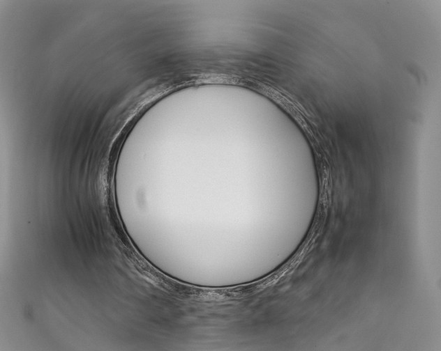 X0000111370290200907101022