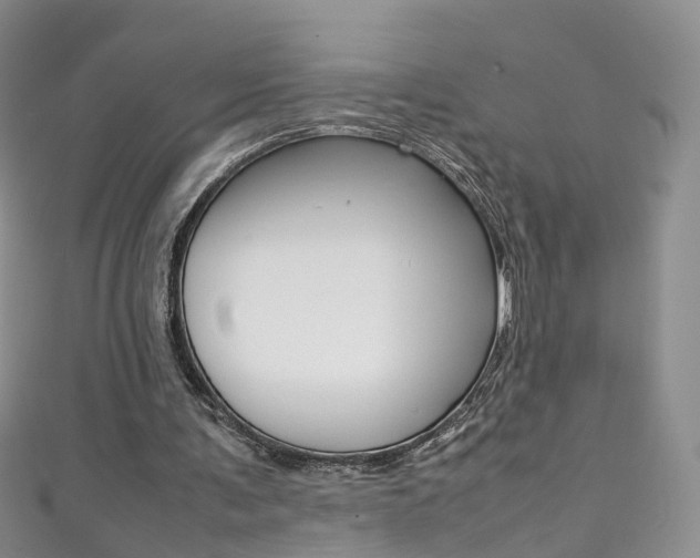 X0000111370291200907101022