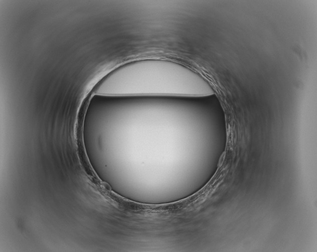 X0000111370292200907101022