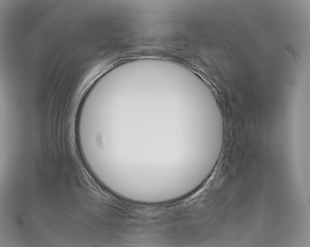 X0000111370293200907101022