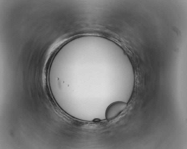 X0000111370294200907101022