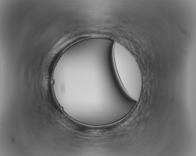 X0000111370295200907101022