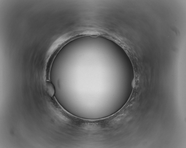 X0000111370296200907101022