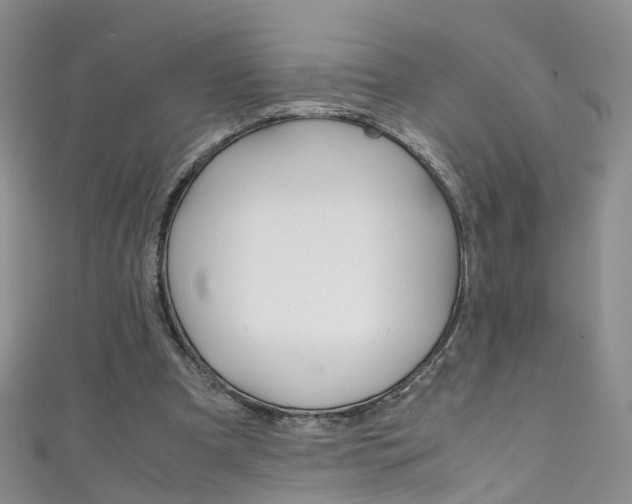 X0000111370297200907101022