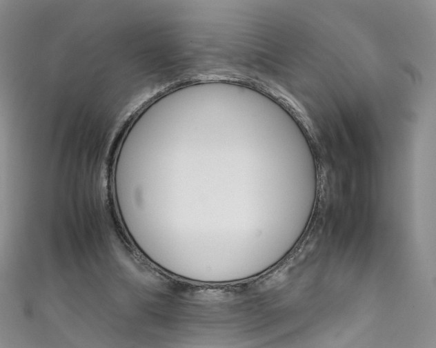 X0000111370298200907101022