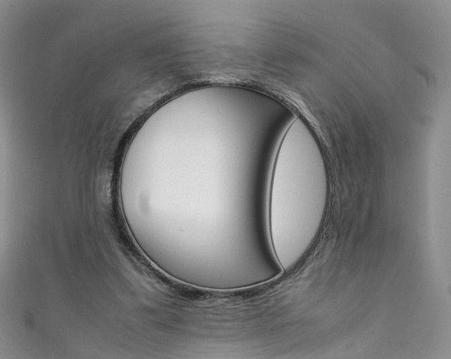 X0000111370299200907101022