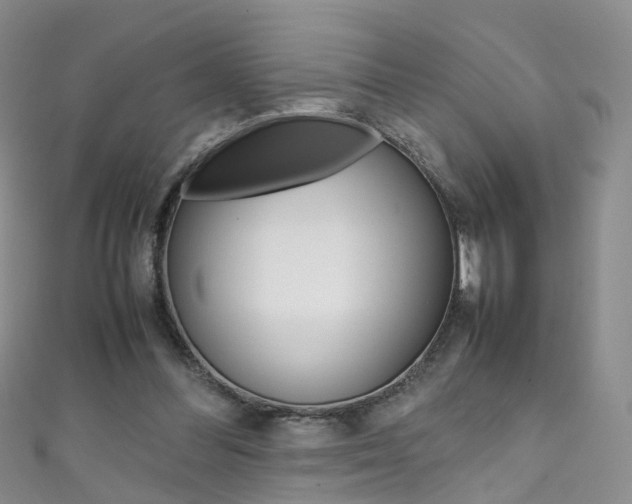 X0000111370300200907101022