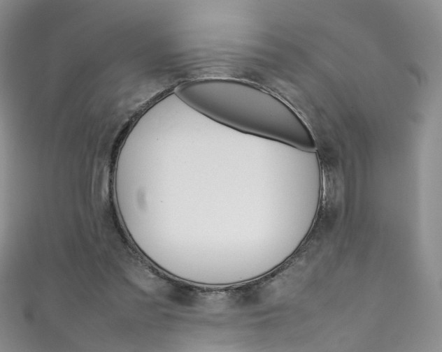 X0000111370301200907101022
