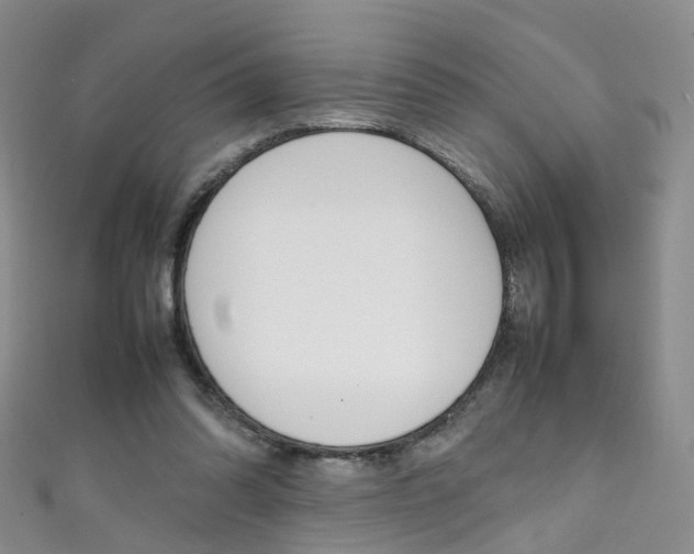 X0000111370302200907101022