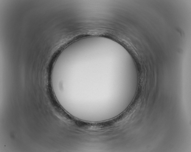 X0000111370303200907101022