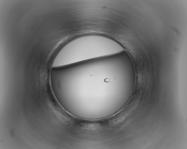 X0000111370304200907101022