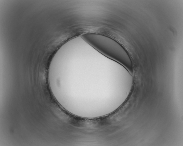 X0000111370305200907101022