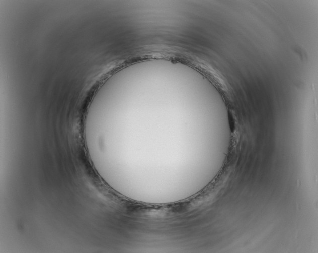 X0000111370306200907101022