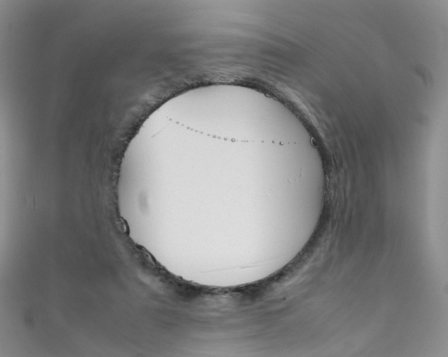 X0000111370307200907101022