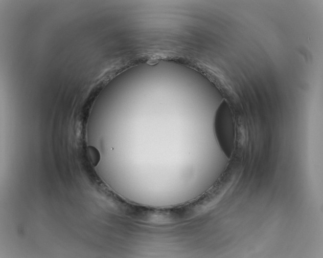 X0000111370308200907101022