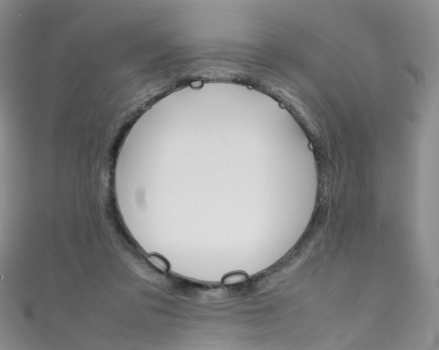 X0000111370309200907101022