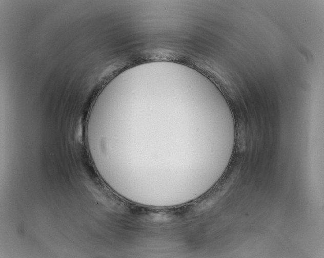 X0000111370310200907101022