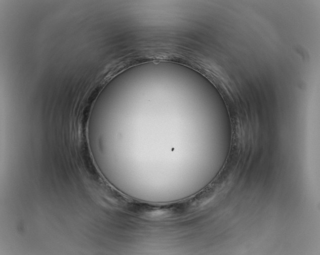 X0000111370312200907101022