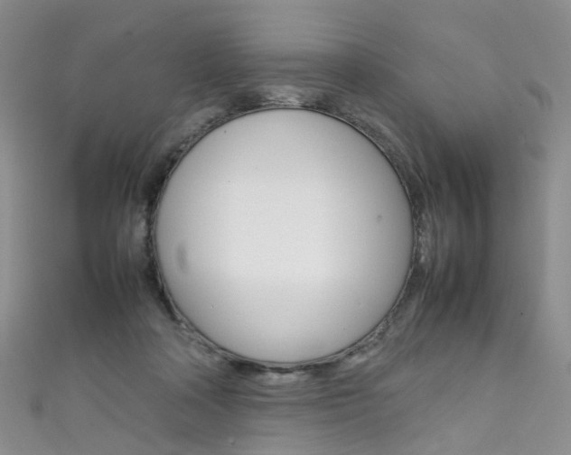 X0000111370314200907101022