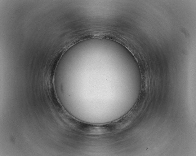 X0000111370316200907101022