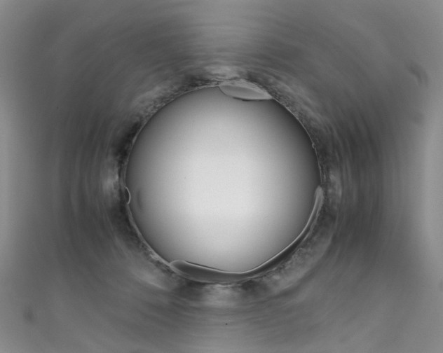 X0000111370320200907101022