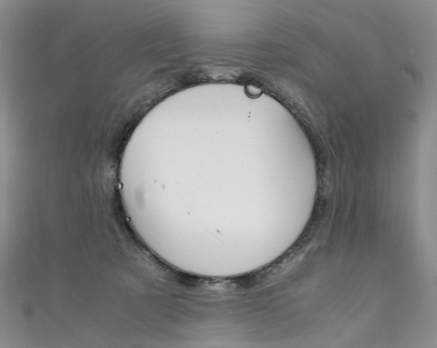 X0000111370321200907101022