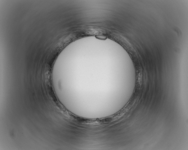 X0000111370322200907101022