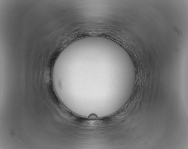 X0000111370323200907101022