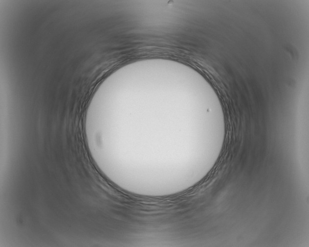 X0000111370325200907101022