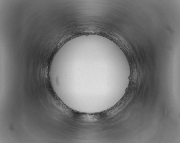 X0000111370326200907101022