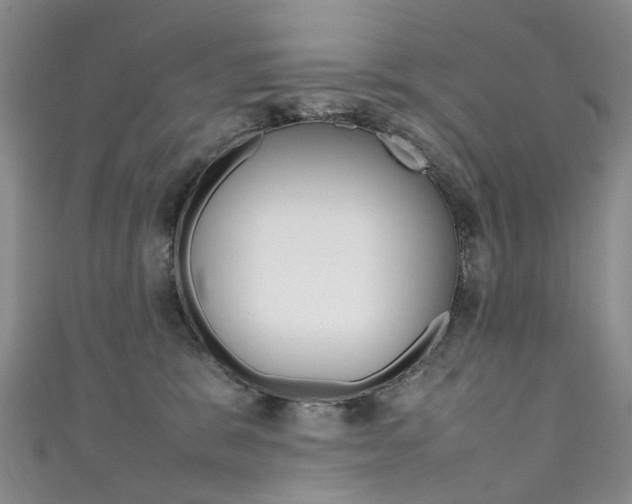 X0000111370327200907101022