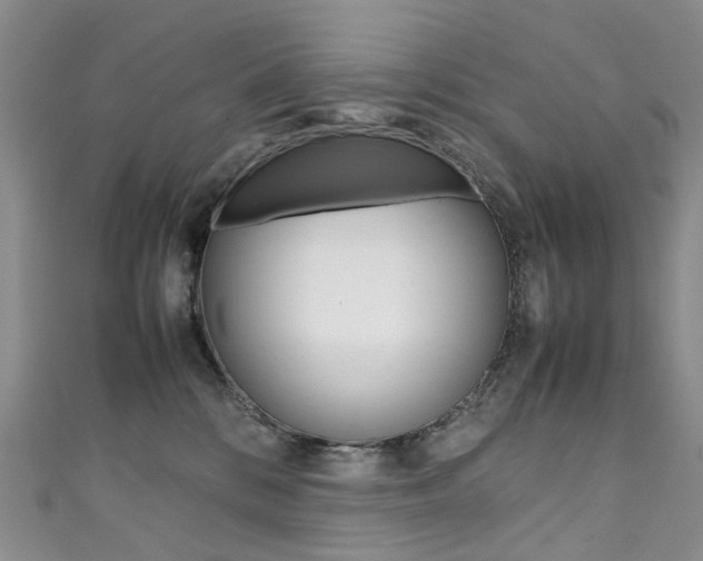 X0000111370328200907101022