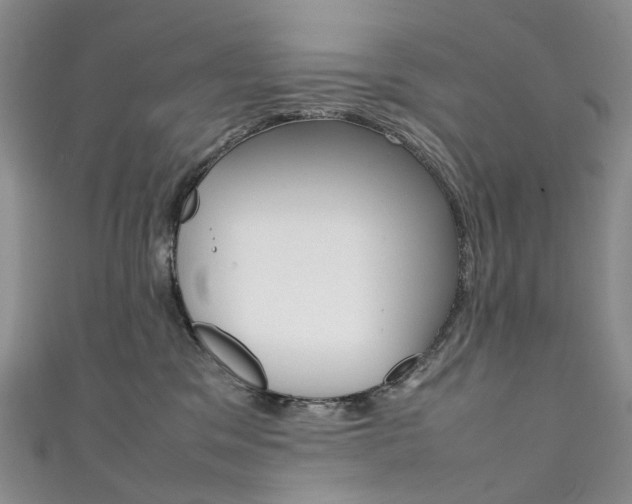 X0000111370329200907101022