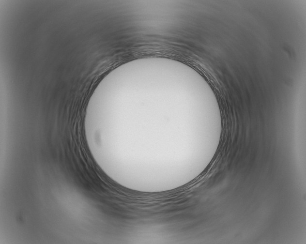 X0000111370333200907101022